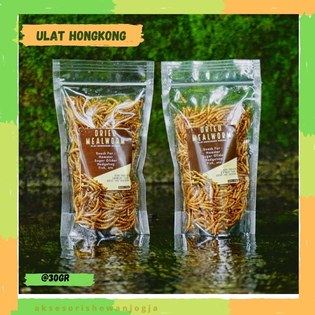 Ulat Hongkong Kering Makanan Sugar Glider, Hamster, Dll