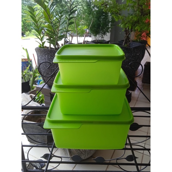 Cozy Nest Set (3)pcs