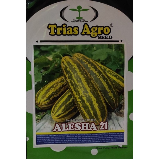 (REPACK) Benih Timun Suri Unggul Alesha 21 Trias Agro 20 Butir Biji