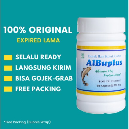 KAPSUL EKSTRAK IKAN GABUS KUTUK SUPLEMEN ALBUMIN ALBUPLUS OBAT  KANKER