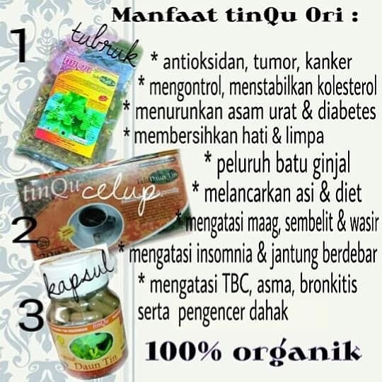 

PAKET DIET OPTIMAL DAUN TIN TINQU