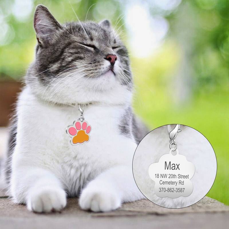 Liontin Kalung ID Tag Ukiran Cakar Warna-Warni Anti Hilang Untuk Anjing Kucing Peliharaan