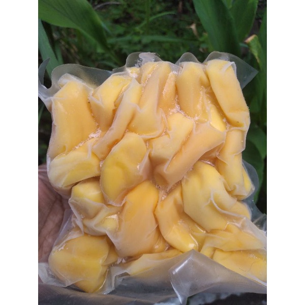 

Nangka frozen