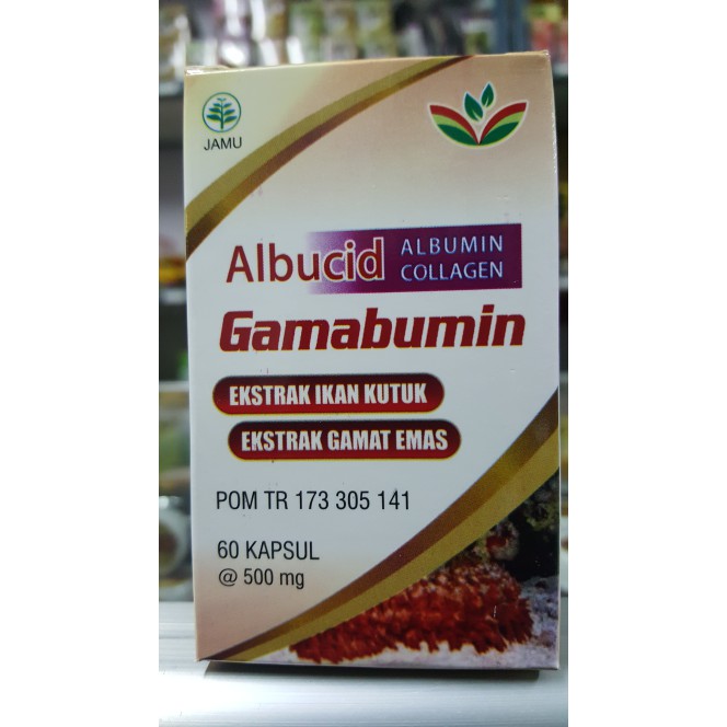 Gamabumin 60 Kapsul Ekstrak Ikan Kutuk Gabus Ekstrak Gamat Emas Shopee Indonesia