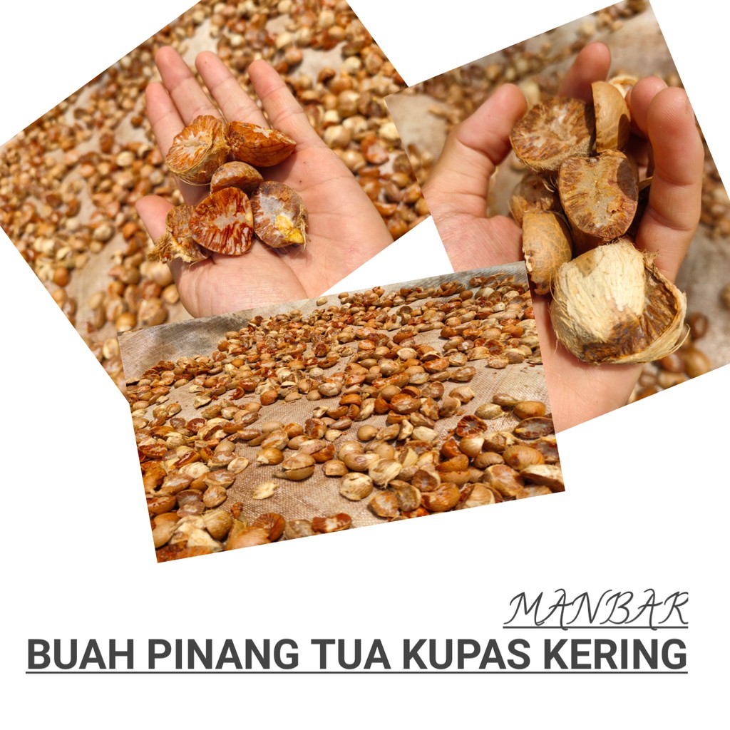 

MANBAR- buah pinang kering kupas kering siap konsumsi 100 % orginal