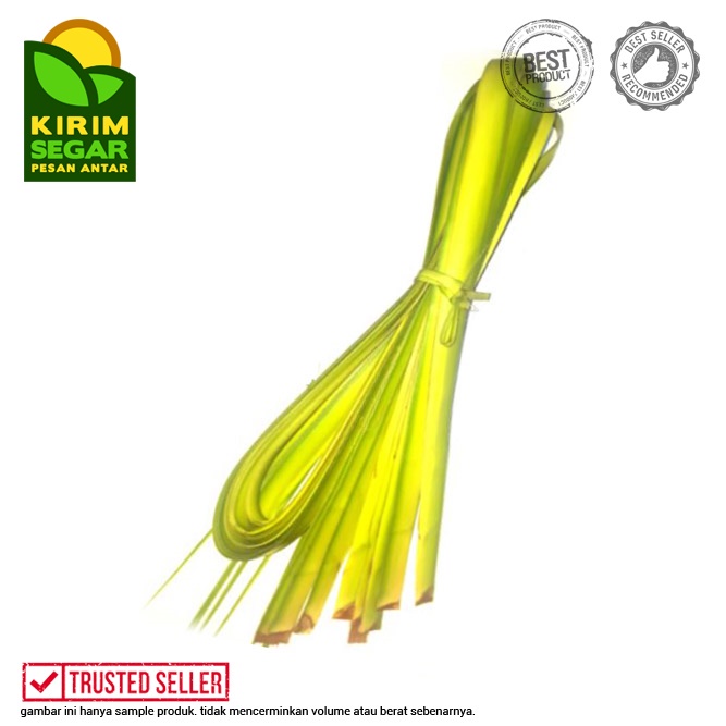 

Janur Kelapa Muda/Utuh / Janur Kelapa Segar/Janur/ 40-50 Helai/Ikat