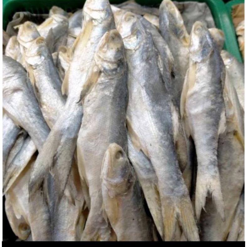 

ikan sinangin Medan 250gram