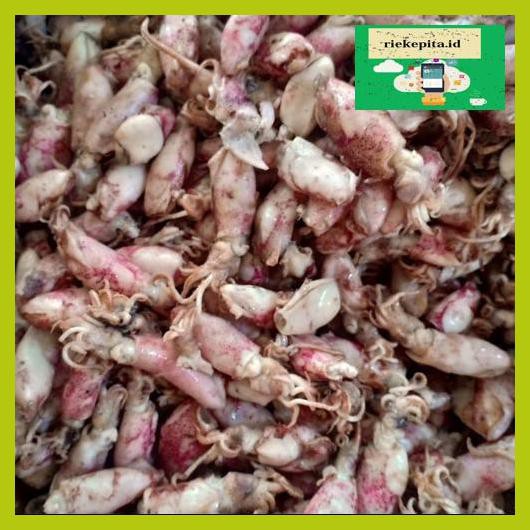 

5Yer67R- Ikan Asin Baby Cumi Bk Per 500Gram T7Rty67-