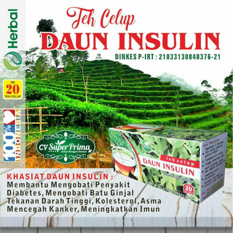 

teh celup DAUN INSULIN isi 20 sachet siap seduh