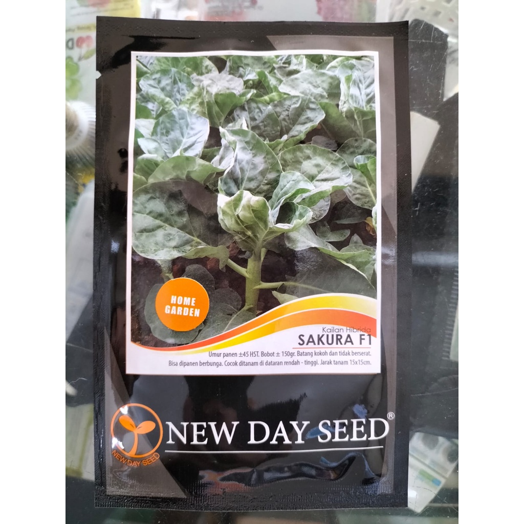 BENIH KAILAN SAKURA F1 HIBRIDA NEW DAY SEED NDS 2 gram
