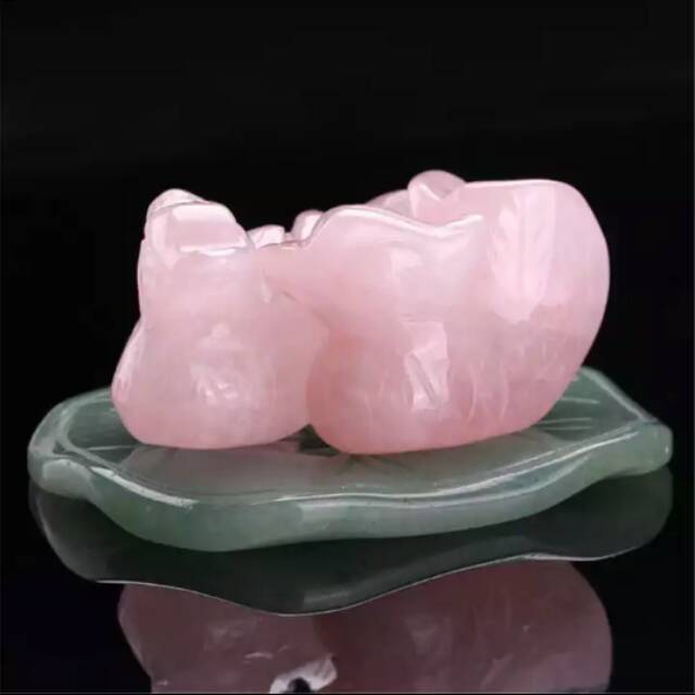 Mandarin duck/bebek mandarin/love/fengshui/souvenir