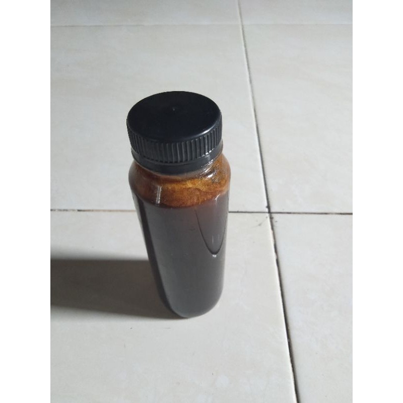 

madu kelanceng