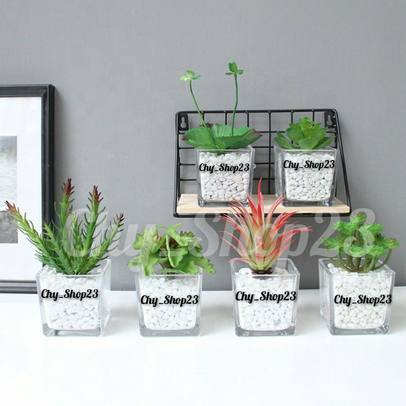 Vas Kotak 10cm | Vas Kaca Bening | Vas Bunga Kaca | Vas Hidroponik | Vas Bunga Aestethic | Vas Kaca