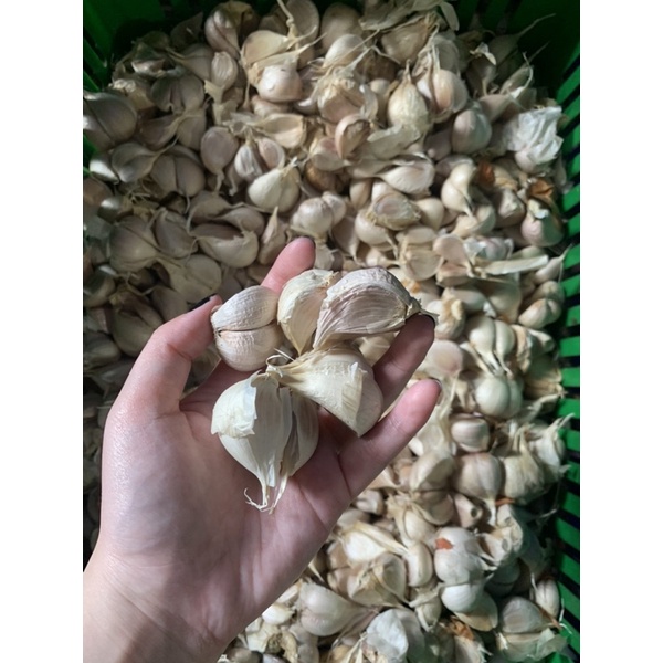 

Bawang Putih Kating 250gr/500gr/1kg