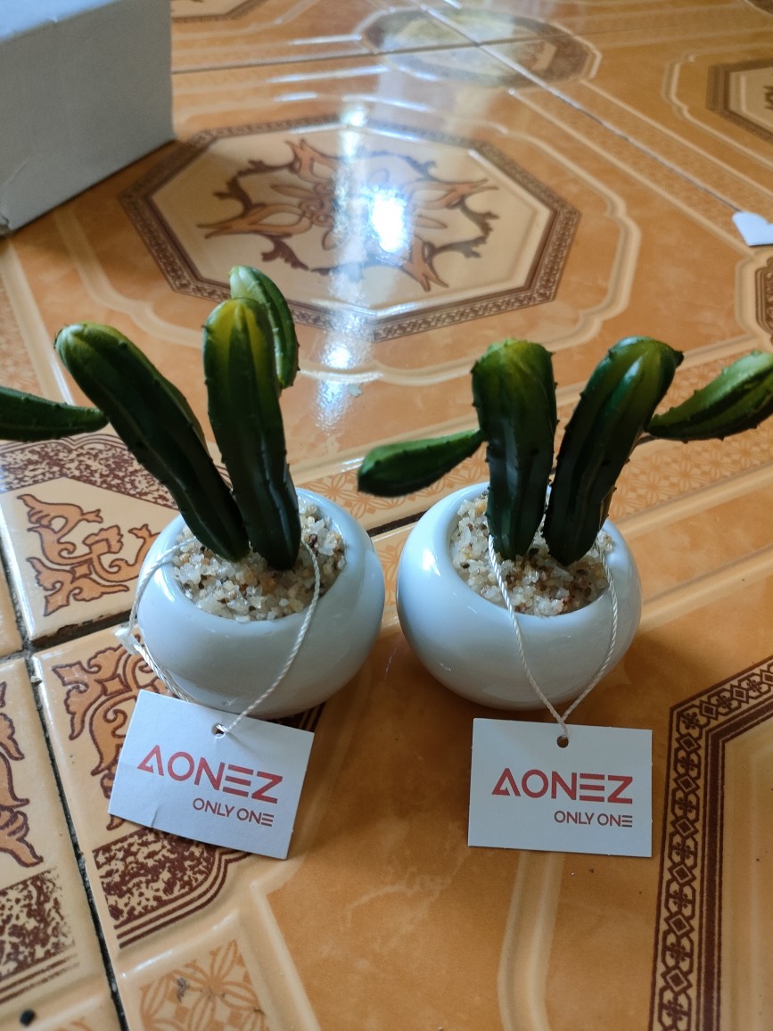 Homes Mystery Box (1 Jenis Produk)