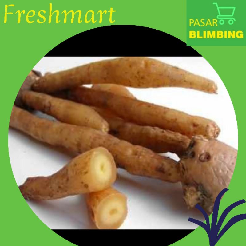 

Temu kunci 100gr [Pasar Blimbing Malang]