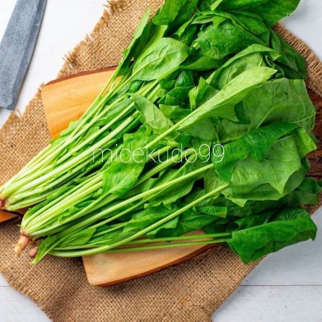 BAYAM INGGRIS 500GR / JEPANG HORENZO HORENSO DAUN POLING ENGLISH SPINACH