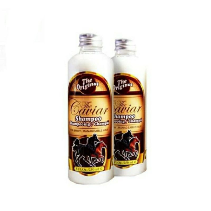 Caviar Shampoo / Shampoo Kuda