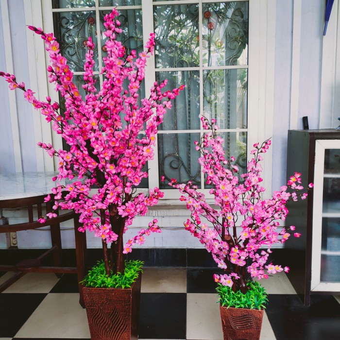 

Mars_Venus - Pohon Imlek Sincia Meihua Sakura Angpao 87 Cm