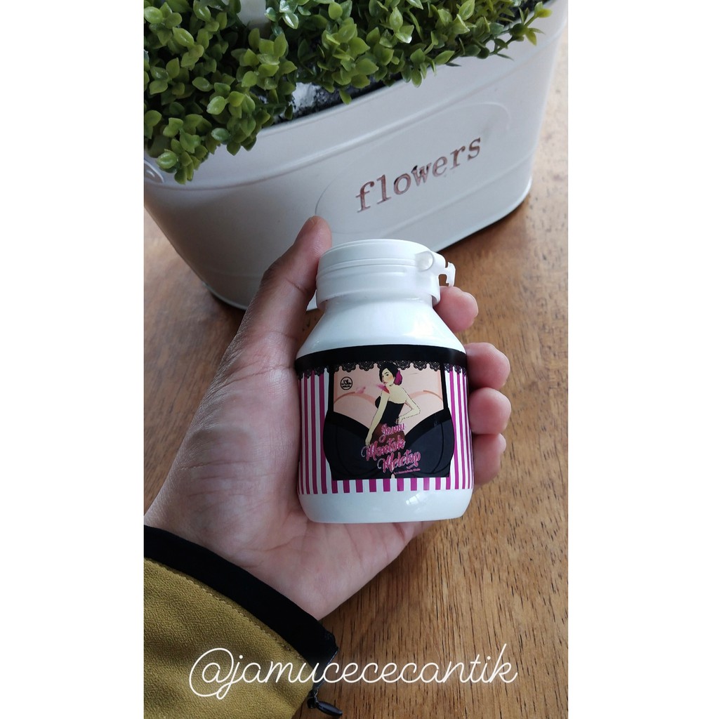 

Jamu Montok Meletop