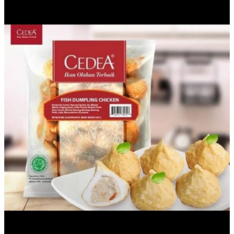 

DUMPLING AYAM