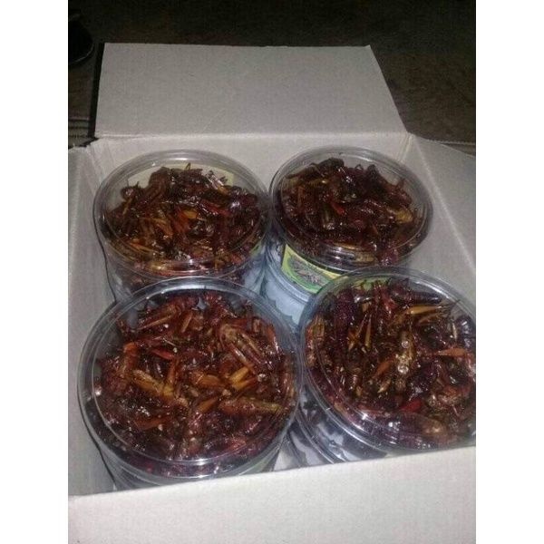 

Belalang/Walang Goreng khas Gunungkidul