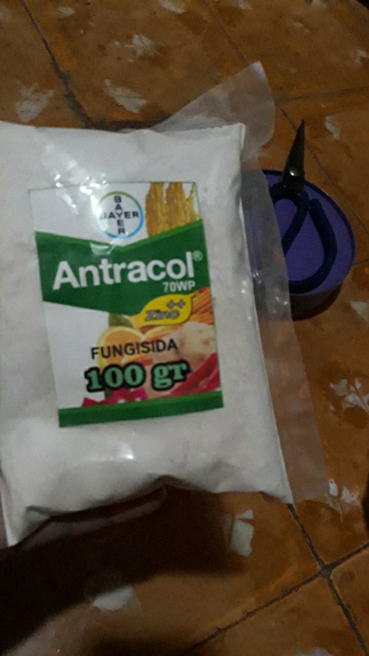 Fungisida Antracol 70 Wp - Kemasan 100 Gram (repacking)