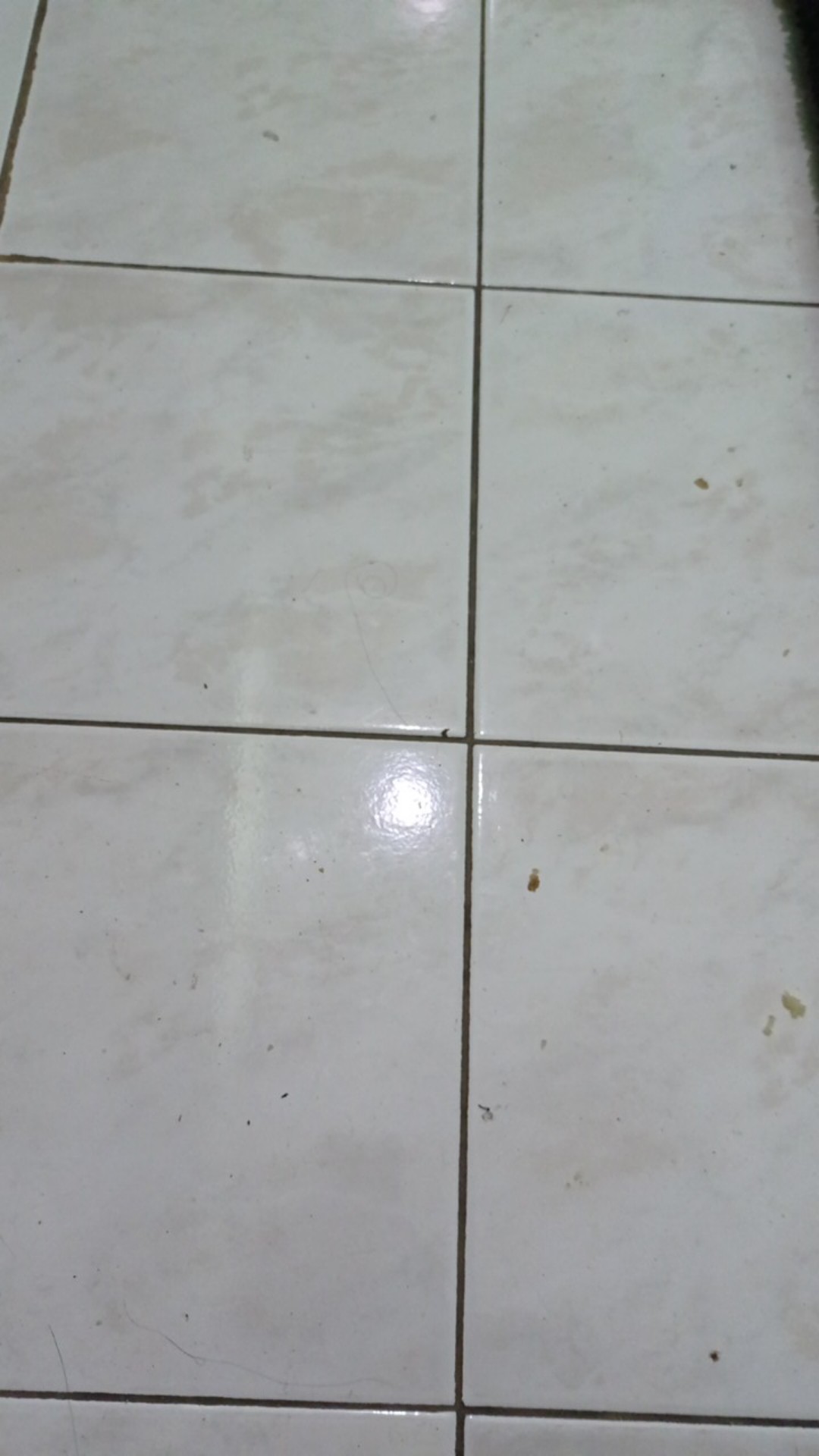 Ori Parutan Box Genius Nicer Dicer/alat Pemotong Buah Sayur