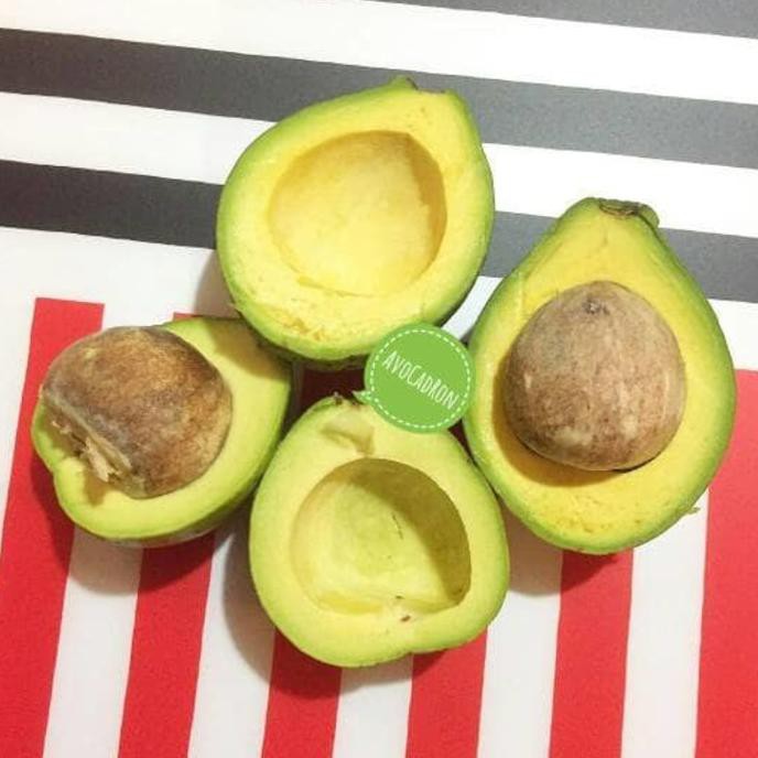 

Terlengkap Alpukat Mentega Avocadron Sale