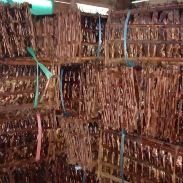

Ikan Roa Asap 1 jepit isi 20 ikan