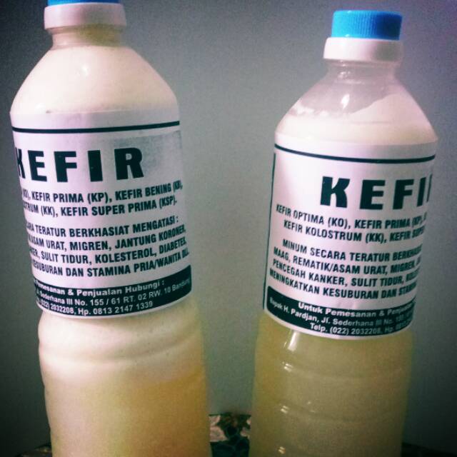 

Susu Kefir