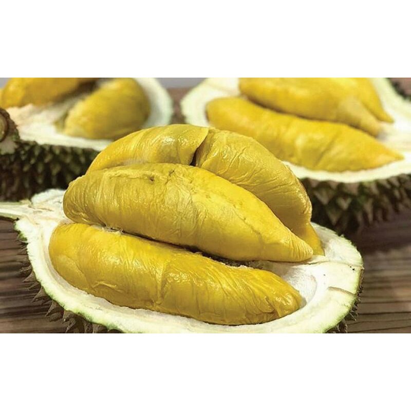 

Durian Kupas Sibolga
