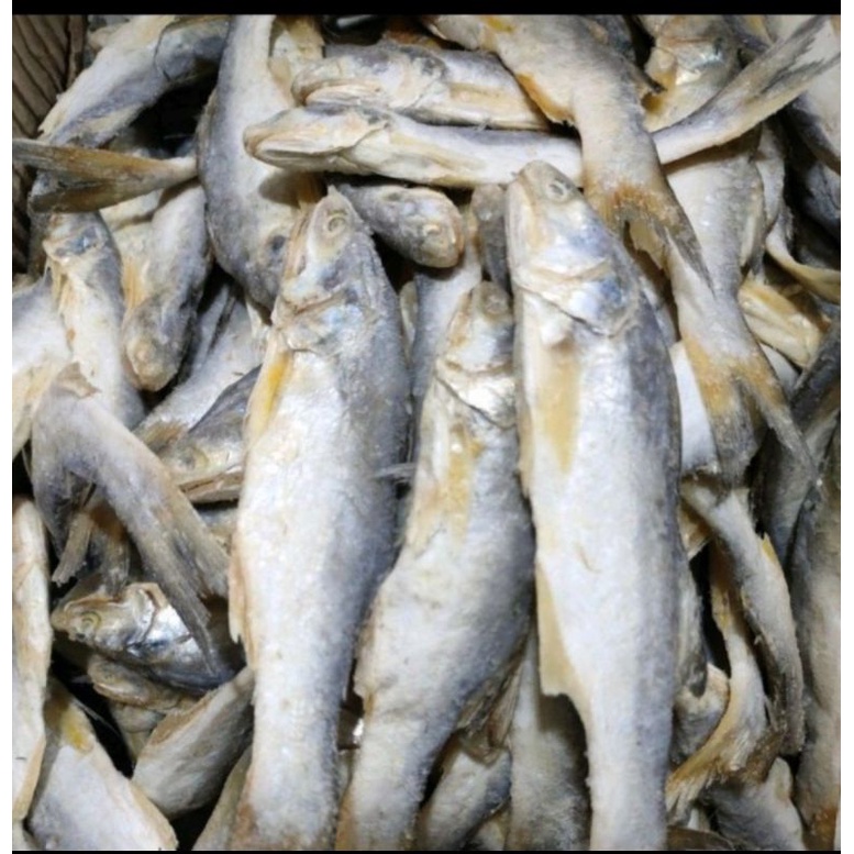 

Ikan Asin Sinangin Medan / ikan asin kuro kecil 250gr