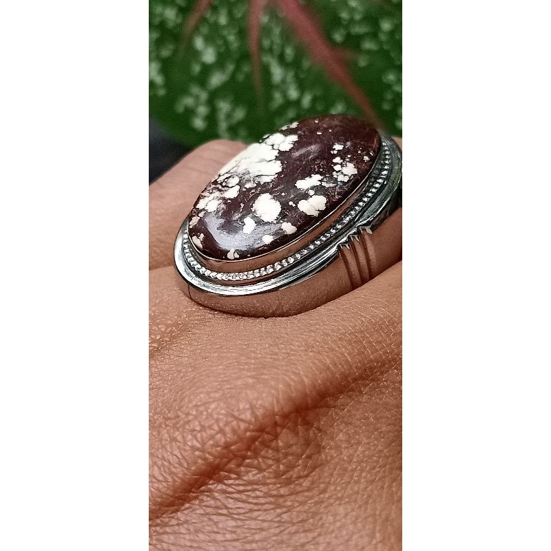 pirus tibet