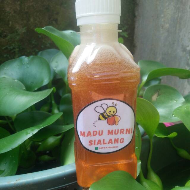 

Madu Sialang Jambi