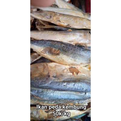 

ikan peda kembung khas Cirebon