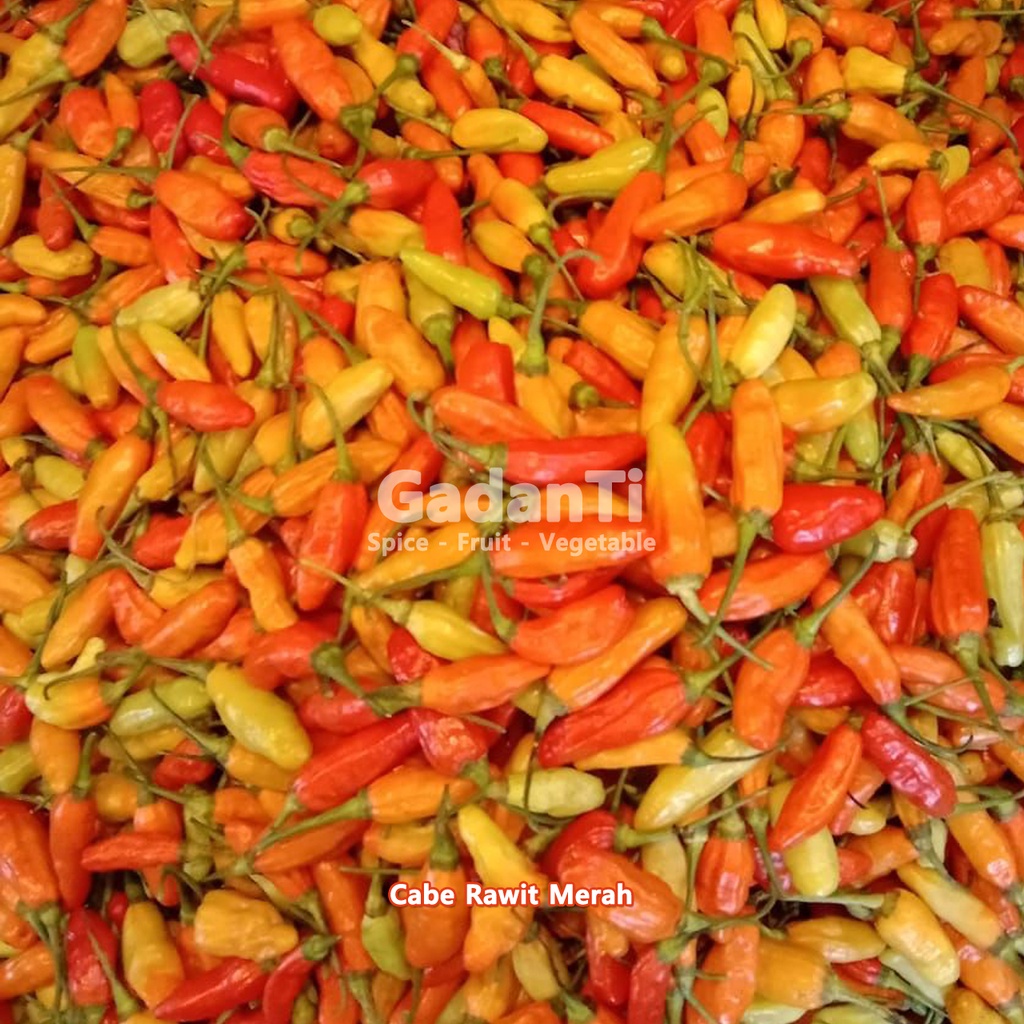 

Cabe Rawit Merah 1Kg SEGAR