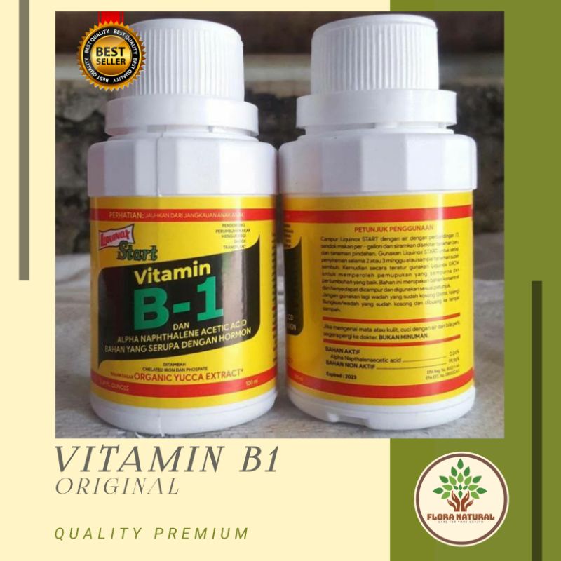 Jual Vitamin B1 Original | Shopee Indonesia