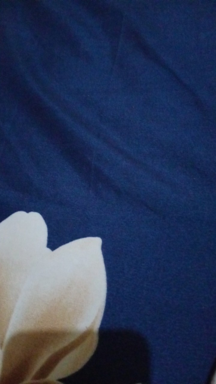 Mika Tray Sayur Plastik / Tr 03 Tebal Serba Guna Isi 50 Pcs