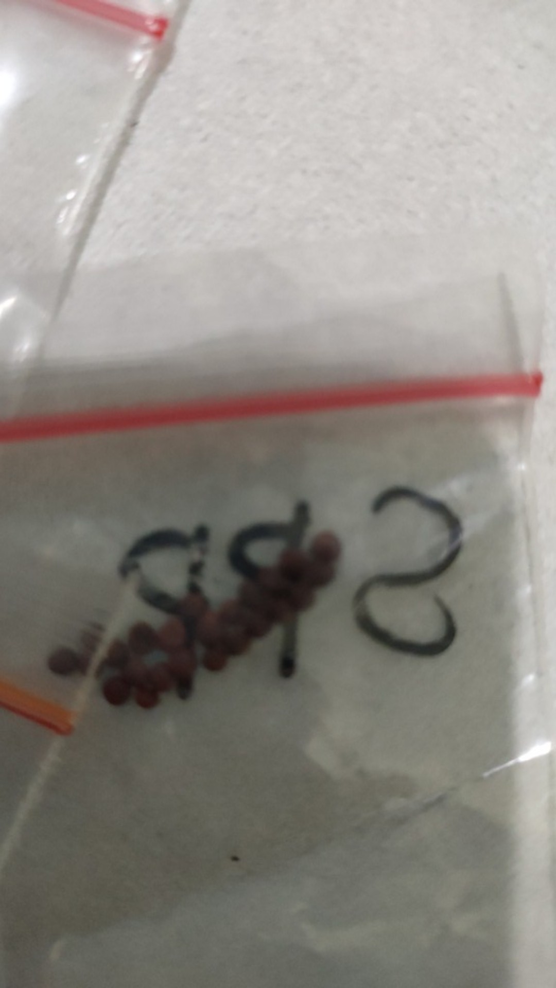 Benih Sawi Putih Panjang (spp)