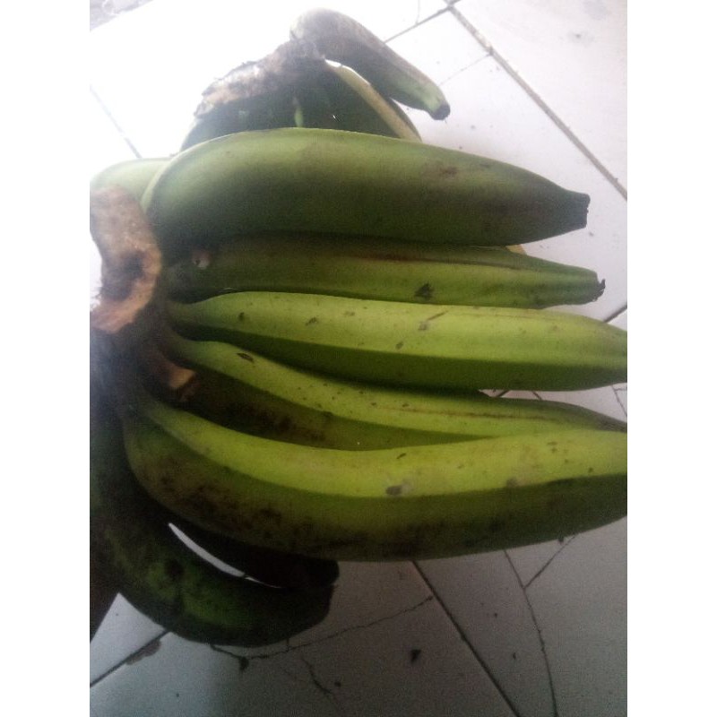 

PISANG AMBON LOKAL SATU SISIR