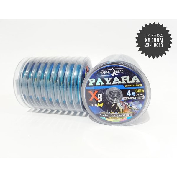 Senar PE 2.5 0.28 mm Payara X8 Hammerhead 100 m