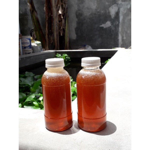 

Madu hutan madu mentah / raw honey