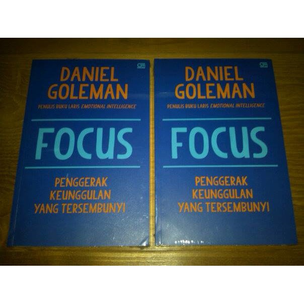 DISKON   Focus ( Daniel Goleman)