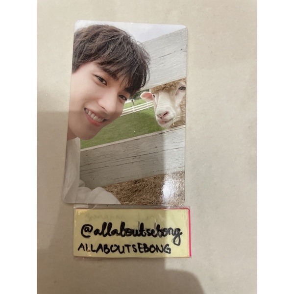 PC Photobook Social Club SEVENTEEN DOKYEOM Da Capo Domba / Kambing / Mbek (Photocard SVT - Seokmin /