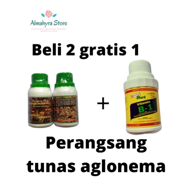 perangsang tunas/mekar hurip plus tunas/perangsang/aglonema