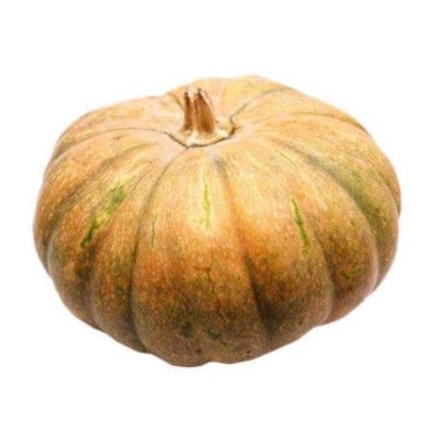 

Grosir Labu Parang Labu Kuning Pumpkin 1,5 Segar Murah