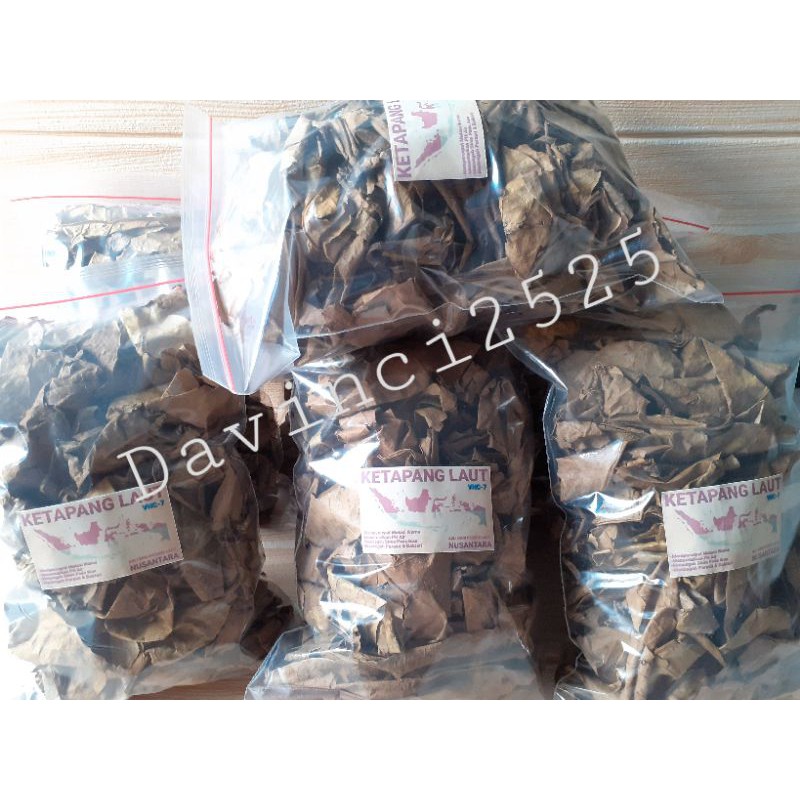 Ketapang Laut Olahan Fermentasi 100gram / Daun Ketapang Laut Fermentasi / Ketapang Laut