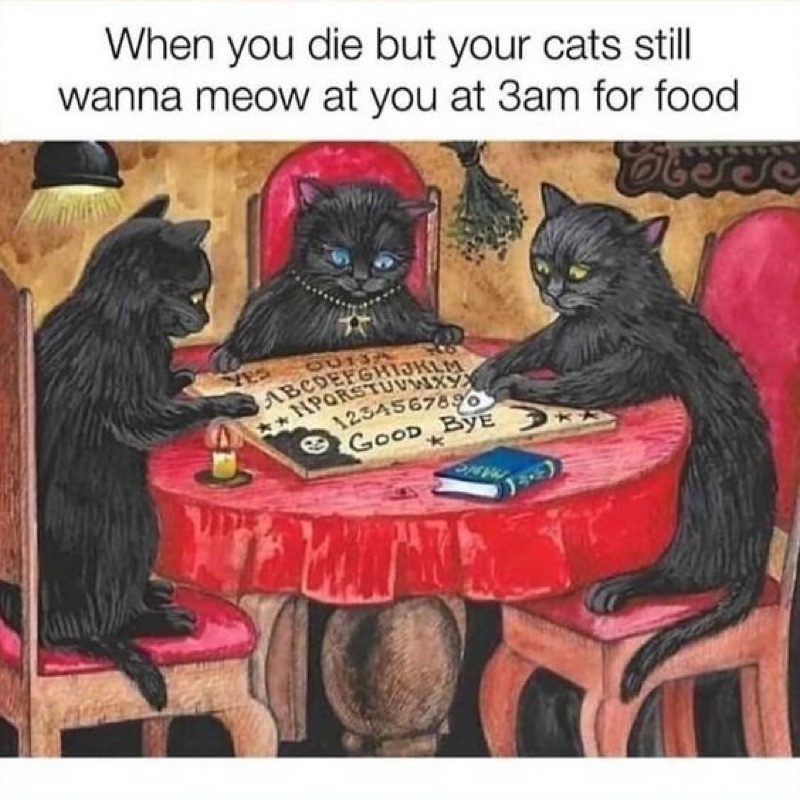 Yangyang kihno hitchhiker&bene yzy resonance