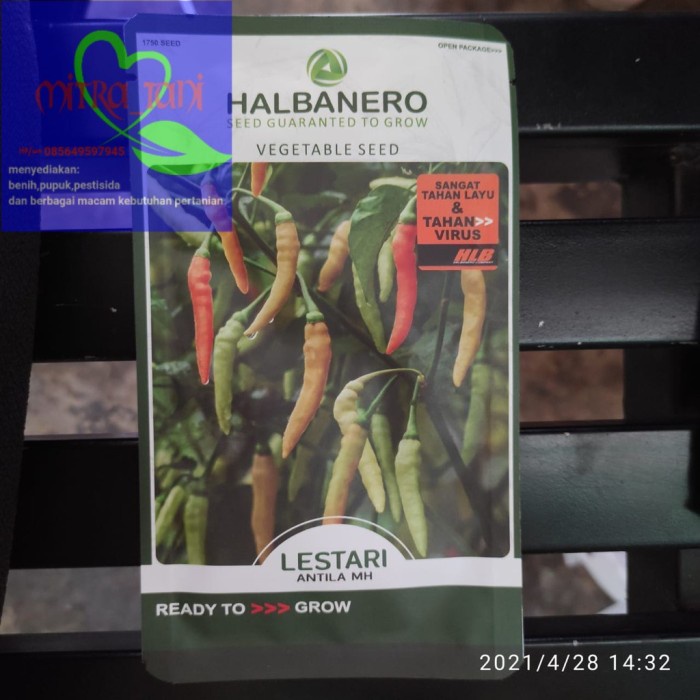 Benih cabai rawit LESTARI isi 10 gram dari HALBANERO
